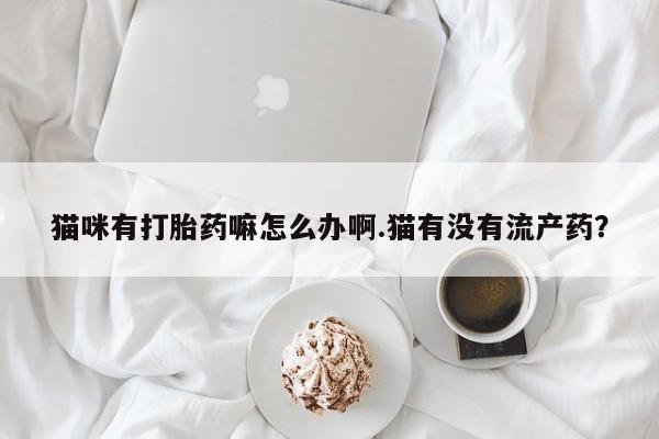 哪里有米非司酮片,猫咪有打胎药嘛怎么办啊.猫有没有流产药？